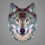 Wolf low poly portrait