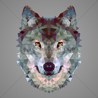 Wolf low poly portrait