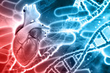 3D medical background with DNA strands and heart