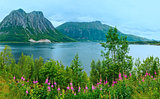 Fjord summer cloudy view (Norway)