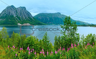 Fjord summer cloudy view (Norway)
