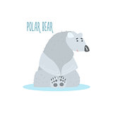 Polar Bear Vector Illustration