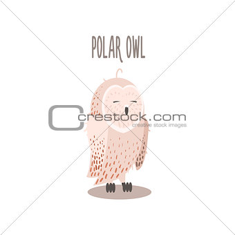 Polar Owl Vector Illustration