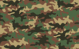 Camouflage texture 2