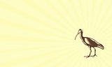 Business card Egret Heron Crane Side Woodcut