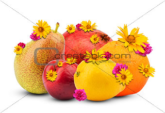 Fruits with flowers