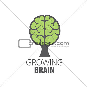 Vector brain logo