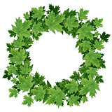 Watercolor summer maple leaves wreath on white background. 