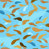 seamless pattern with brown  feathers on lihgt blue background