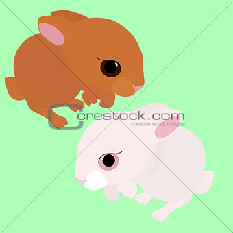 rabbit,  white and brown cartoon animal isolated