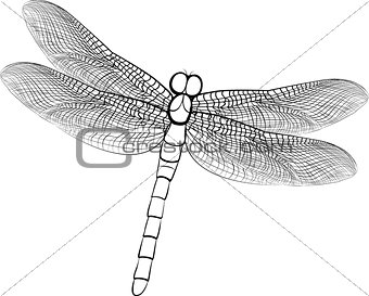 illustration sketch of a dragonfly isolated on white