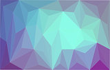 Polygonal vector, which consist of triangles.