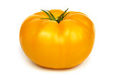 Big fresh yellow tomato.