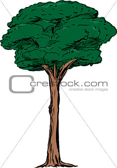 Isolated Tall Tree Illustration