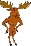 Moose Standing Hands Akimbo Cartoon