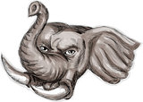 African Elephant Head Watercolor