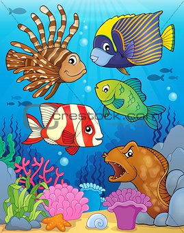 Ocean fauna topic image 5