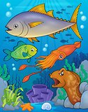 Ocean fauna topic image 6