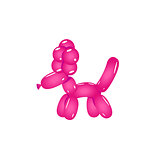 Pink Balloon Poodle