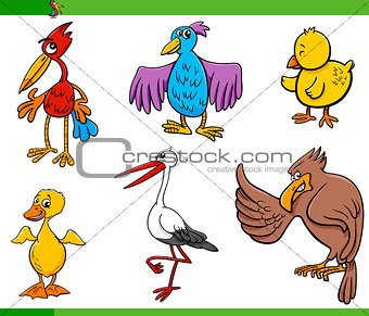 birds cartoon set illustration