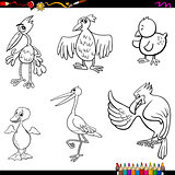 birds cartoon coloring page