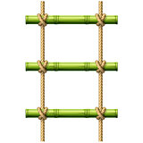 Bamboo rope ladder - crossbeams connected with knots