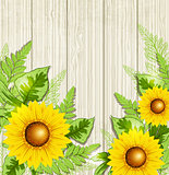 Green leaves and sunflowers