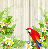 Tropical flowers and parrot
