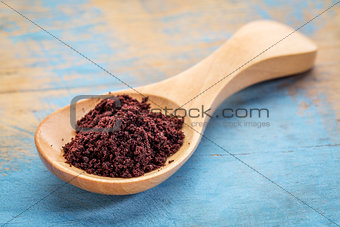 acai berry powder on wooden spoon