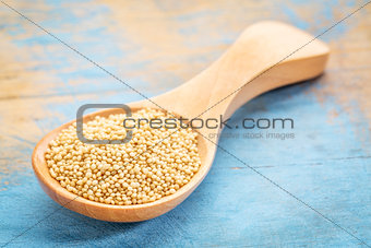 amaranth grain on wooden spoon