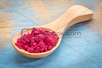 spoon of aronia berry powder
