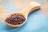 quinoa grain on wooden spoon