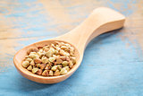 buckwheat grain on wooden spoon