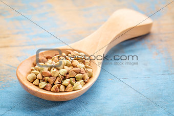 buckwheat grain on wooden spoon