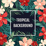 Summer tropical hawaiian background with palm tree leavs and exotic flowers