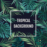 Summer tropical hawaiian background with palm tree leavs and exotic plants