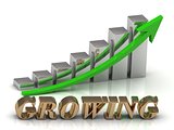 GROWING- inscription of gold letters and Graphic growth 