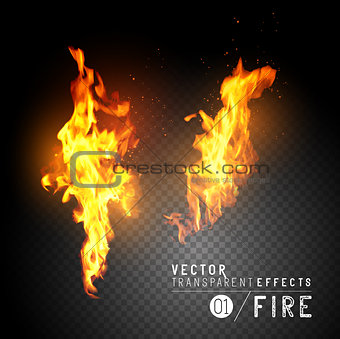 Realistic Vector Fire Flames