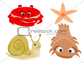 Crab Snail Starfish
