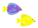 Purple and Yellow Tang Fish