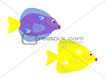 Purple and Yellow Tang Fish