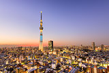Tokyo City Skyline