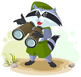 Scout raccoon with binoculars