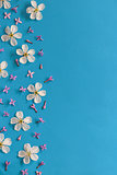 Spring flowers background 