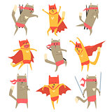 Cat Superhero Character Set