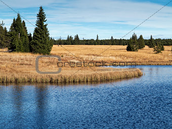 Dead pond, Ore Mountains, Czech republic