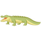 Cartoon green alligator