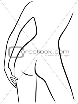 Abstract graceful female back outline