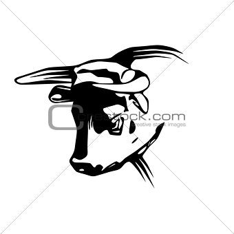 Vector Bull Head