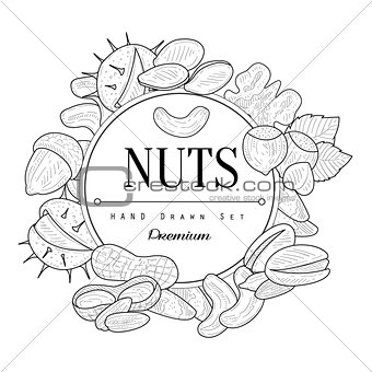 Nuts Collection Vintage Sketch